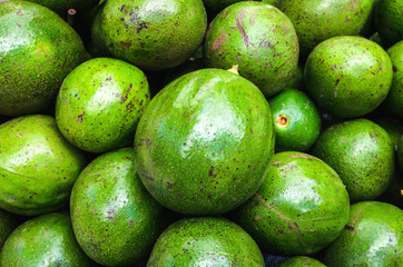Avocado background. Fresh green avocado on a market stail. Food background
