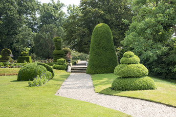 big park with trees and buxus plants - obrazy, fototapety, plakaty
