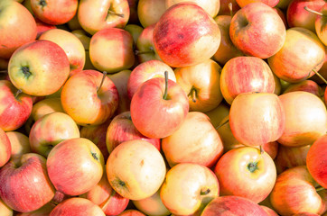 Texture of pile of red, green, yellow ripe apples