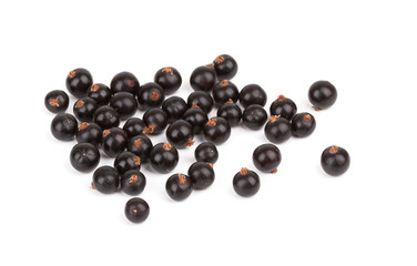 black currant