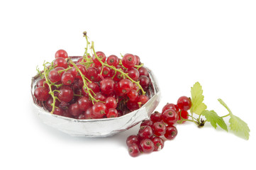 Fresh currant fruit in a shiny bowl isolated