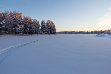 Зимний лес