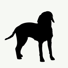  Dog silhouette on white background