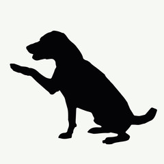  Dog silhouette on white background