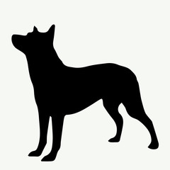  Dog silhouette on white background