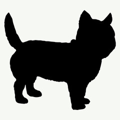  Dog silhouette on white background