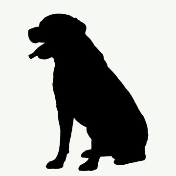  Dog silhouette on white background