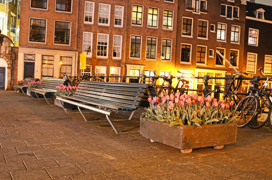 Outdoor landscape with benches and tulips and piece of facades o