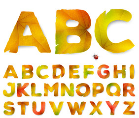 Vector alphabet letters made from autumn leaves, isolated on white