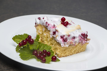 Ribiselkuchen am Teller - rote Johannisbeere