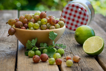 Stachelbeeren