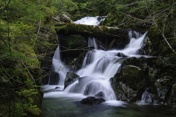 Cedar Creek Waterfalls