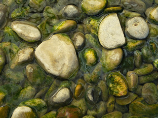 River background with stones and clean fresh water