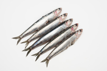Fresh and raw mediterranean anchovy on white background - obrazy, fototapety, plakaty