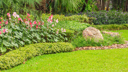 Naklejka premium Beautiful Hollyhock Flowers and Stone in Garden.