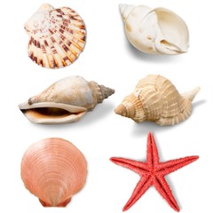 Sand, sea, isolated.