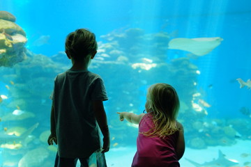 Children amazed by aquarium
