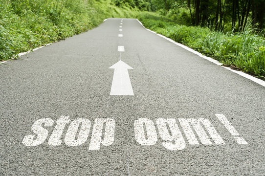Concept route et marquage au sol - stop ogm ! 