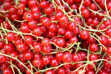 red currants