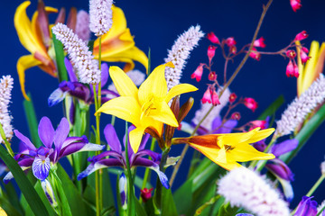 Fototapeta na wymiar Bunch of summer flowers on a blue background