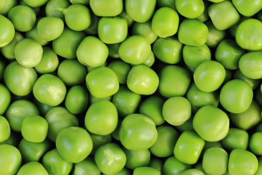 green pea background