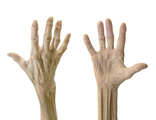 Fototapeta premium Old woman hand