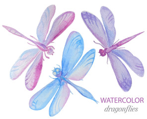 Collection of watercolor dragonflies.