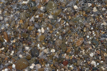 Close-up view of wet pebble in foam bubbles as background.