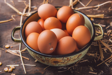 Fresh organic chicken eggs