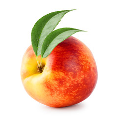 Bright ripe nectarine with green leaves