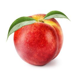Ripe nectarine with green leaves