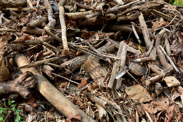 Wreck caused by natural wood materials