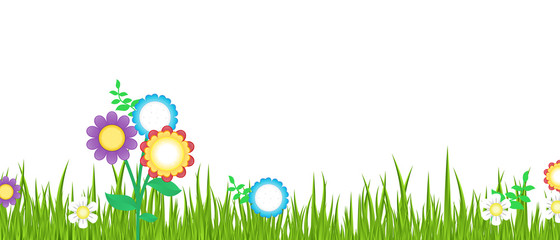 Spring Grass with Flowers