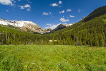 Fototapeta premium Ophir, Colorado Ophir Pass