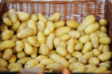 Fresh healthy bio potatoes