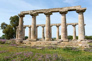 Obraz premium Palatine Tables