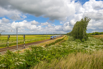 Obraz premium Electric train driving through nature in summer
