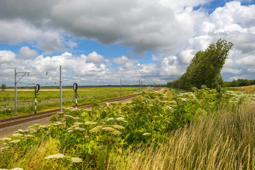 Obraz premium Railroad through a sunny landscape in summer