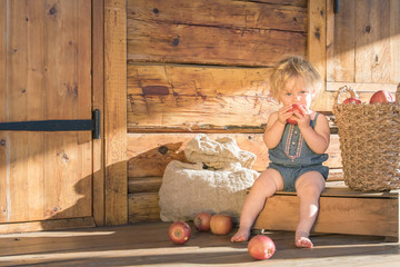 Baby Girl Caucasian One Year Old Sitting and eating apple near Wooden Barn or House with Sack, Box and Basket with Apples on Background, beautiful Golden sunset light from aside