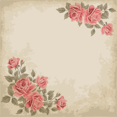 Old paper background with roses