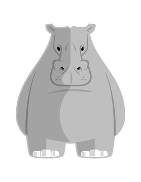 Vector eps file of a vector cartoon Hippopotamus. 