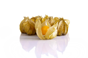 Physalis bunch shot front on on a white background