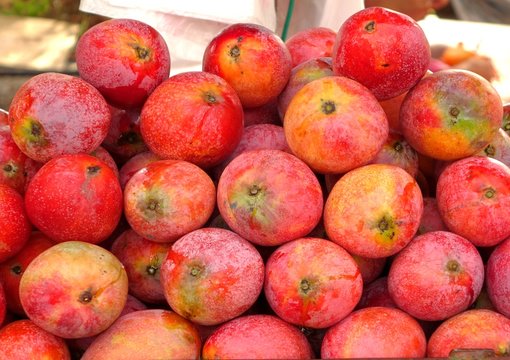 Ripe Red Mangoes for Sale