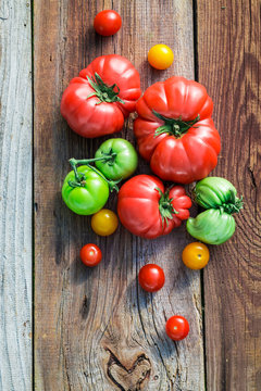 Ripe tomatoes in the countryside