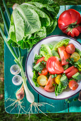 Healthy vegetarian salad from greenhouse
