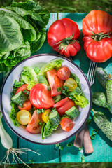 Healthy vegetarian salad from countryside