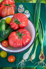 Colorful mix vegetables from countryside