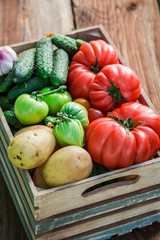 Ripe vegetables in greenhouse