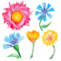 hand-drawn watercolor flowers set
