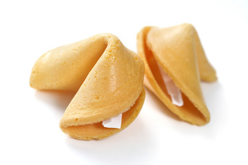 Fortune cookies isolated on white background, shallow focus